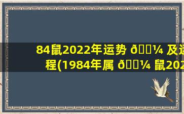 84鼠2022年运势 🌼 及运程(1984年属 🐼 鼠2022年运势完整版)